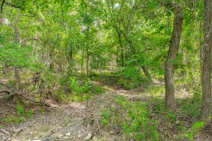 Carlton, TX 76436