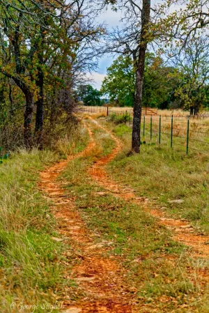 Gorman, TX 76454