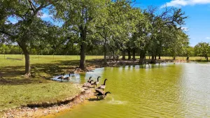 Bartonville, TX 76226