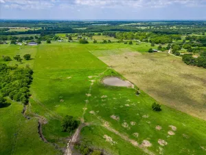 Covington, TX 76636