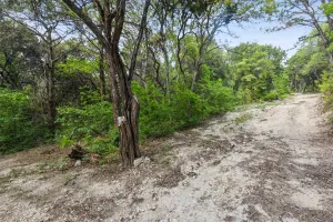 Cedar Hill, TX 75104