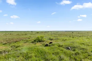 Montague, TX 76261