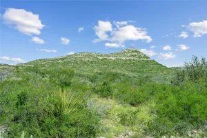 Uvalde, TX 78801