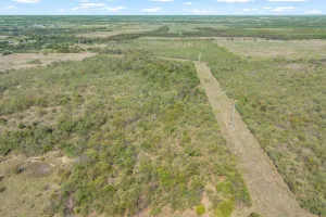 Terrell, TX 75160