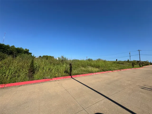 Palestine, TX 75801