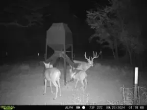 Whitesboro, TX 76273