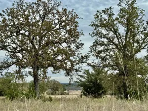 Hico, TX 76457