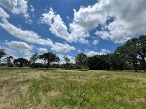 Sulphur Springs, TX 75482
