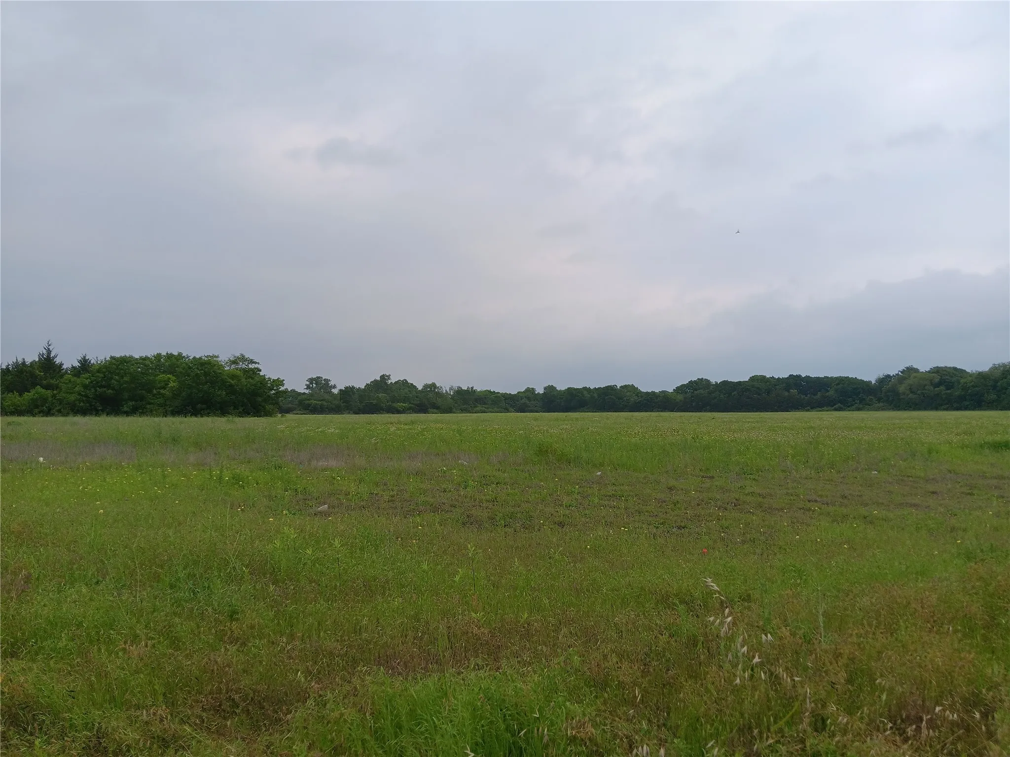 Lancaster, TX 75134