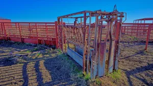 Petrolia, TX 76377