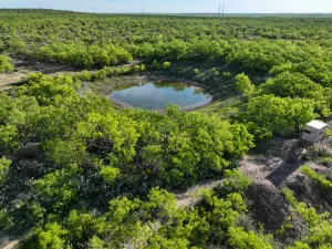 Voss, TX 76888