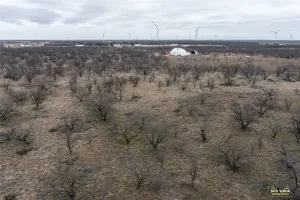 Clyde, TX 79510