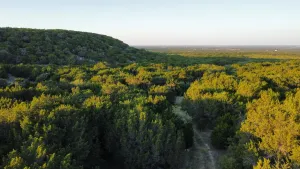 Abilene, TX 79602