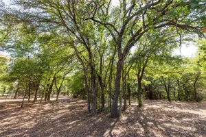 Cross Roads, TX 76227