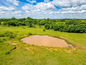 Bellevue, TX 76228