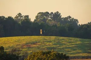 Kilgore, TX 75662