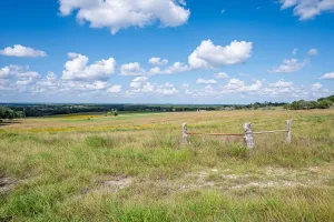 Purmela, TX 76566