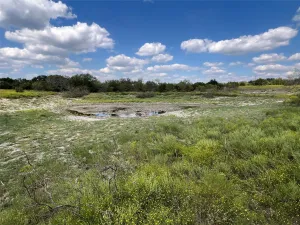 Carlton, TX 76436