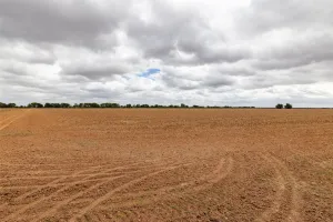 Marlin, TX 76661