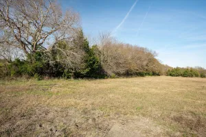 Princeton, TX 75047