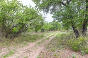 Ovalo, TX 79541