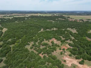 Nocona, TX 76255