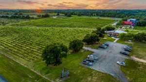 Dublin, TX 76446