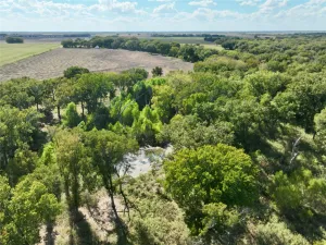 Milford, TX 76670
