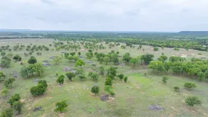 Ovalo, TX 79541