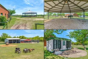 Ennis, TX 75119