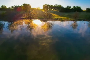 Dodd City, TX 75438