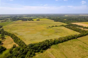 Bonham, TX 75418