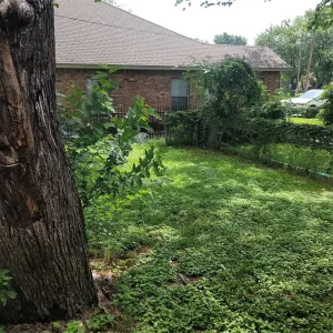 Ennis, TX 75119
