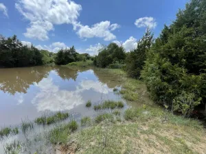 Chico, TX 76431