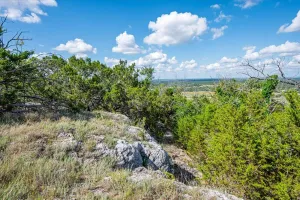 Purmela, TX 76566