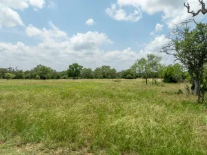 Jonesboro, TX 76538