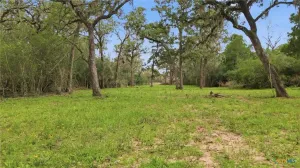 Hallettsville, TX 77964