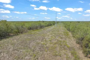 Terrell, TX 75160