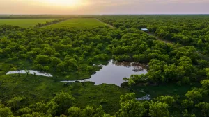 Graham, TX 76450