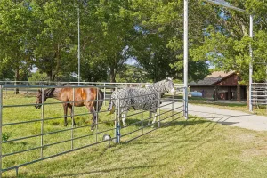 Flower Mound, TX 75028