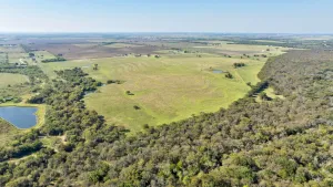Pilot Point, TX 76258