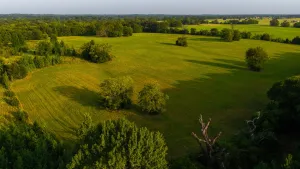 Sulphur Springs, TX 75482
