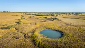 Alvarado, TX 76009