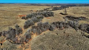 Petrolia, TX 76377