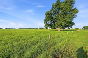 Denison, TX 75021