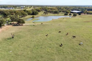 Pilot Point, TX 76258