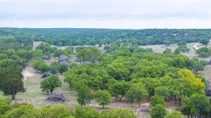 Ovalo, TX 79541