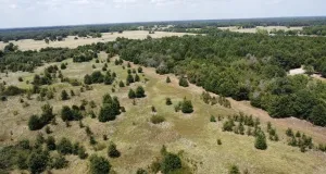 Terrell, TX 75161