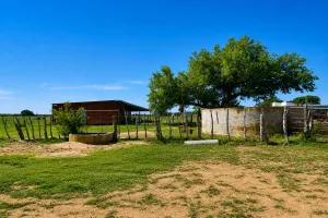 Rochelle, TX 76872