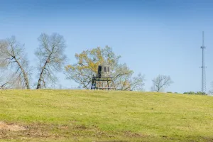 Gladewater, TX 75647
